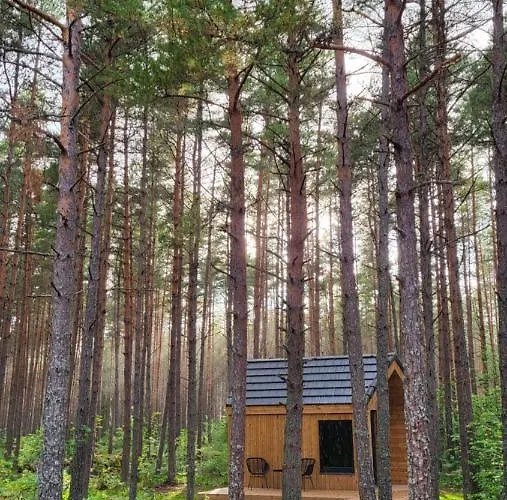 Wuud Paedaste Alpstuga *